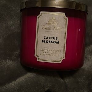 Cactus blossom candle